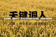 策马扬鞭，绿茵骄子：爱尔兰选手加冕马术桂冠，谱写传奇新篇章