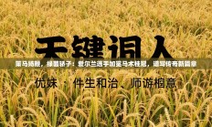 策马扬鞭，绿茵骄子：爱尔兰选手加冕马术桂冠，谱写传奇新篇章