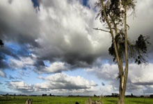 开拓者击败76人，延续不败之地