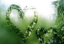 NBA总决赛MVP榜：亚历山大领跑哈利伯顿第四