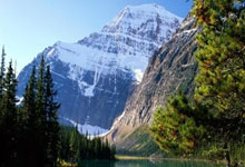 魔术队力克森林狼队，富尔茨防守出色